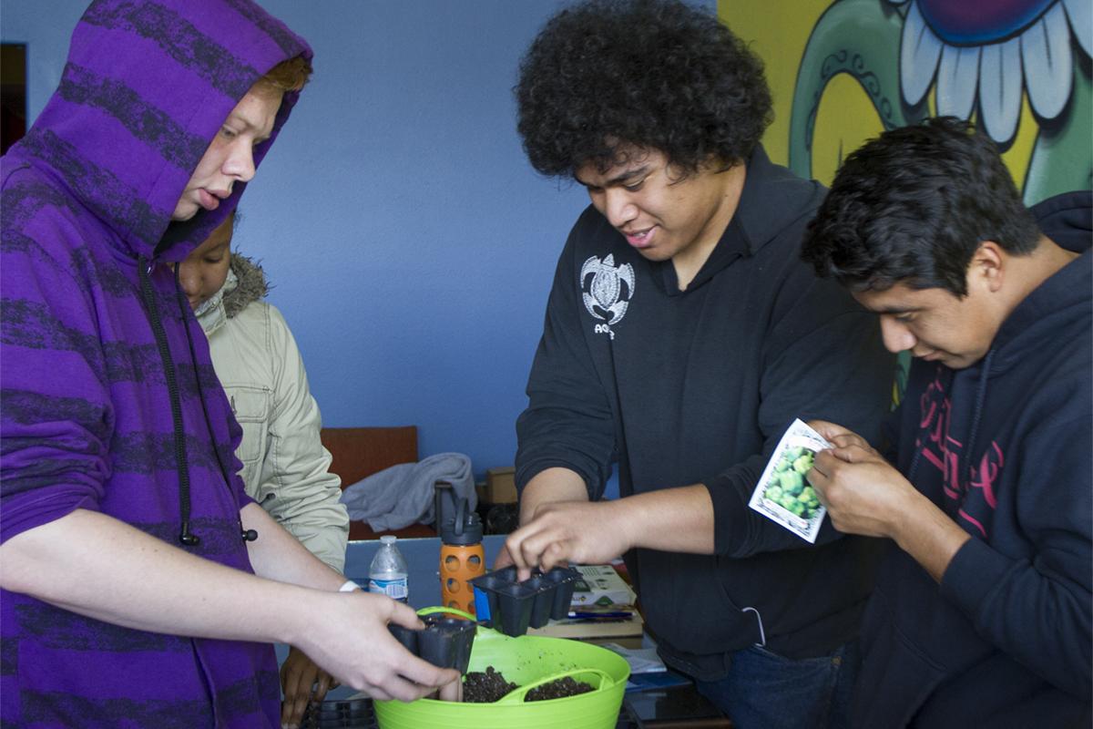 Four students planting seeds in a pot at an off campus event